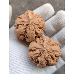 粗筋霸王龙核桃(22021)-文玩核桃-7788模型收藏