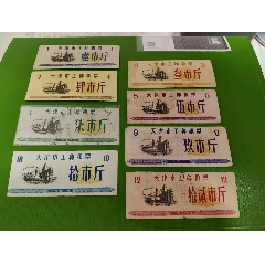 天津市1976工種糧票8全