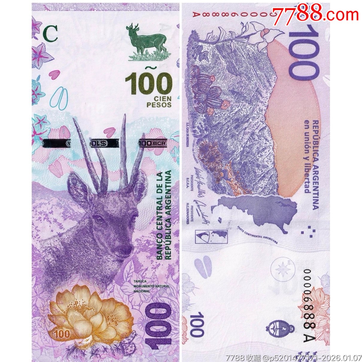 全新UNC2018年阿根廷100比索纸币首发A冠号码随机-阿根廷钱币-7788打火机收藏