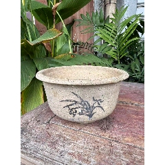花鸟/宠物_全部_在线交易【7788收藏__收藏热线】