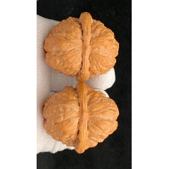 42大肚金蟾蛤蟆头核桃(27050)_文玩核桃_趣味小店杂货铺【7788挂历收藏】