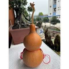 葫芦瓢，水瓢_葫芦制品_随意尊古斋【7788旧书网】
