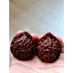 粗筋爆肉金蟾蛤蟆头核桃(24026)_文玩核桃_趣味小店杂货铺【7788门票收藏】