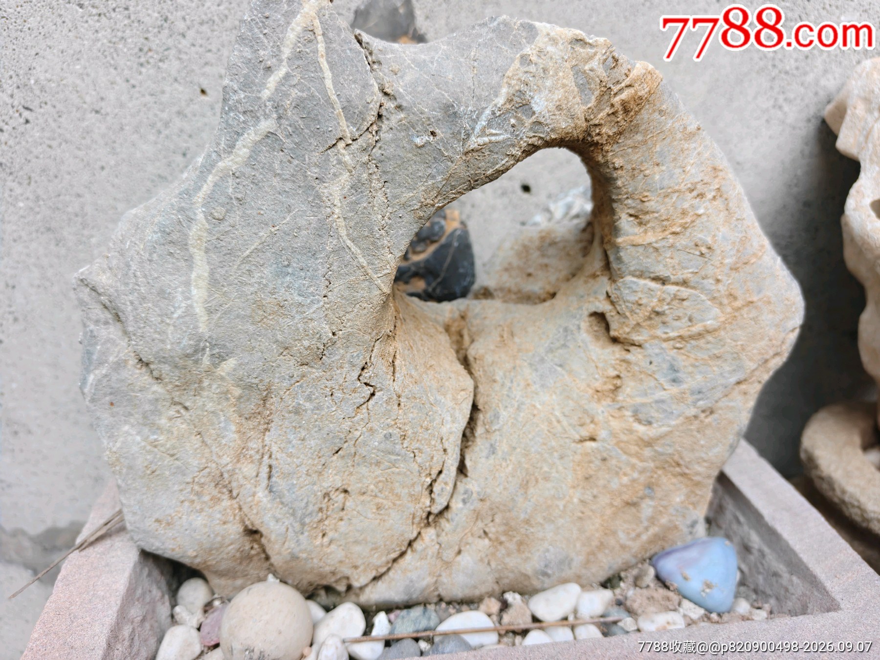 天然太湖石。-太湖石-7788画册网