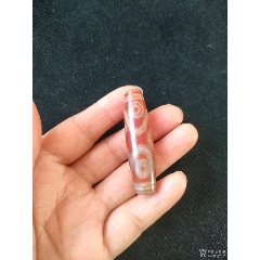 6颗虎牙天珠_天珠_文革俱乐部【7788旧书网】