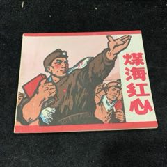 煤海紅心（江西1970年）