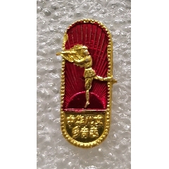中華兒女多奇志，娘子軍（鋁J400）
