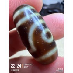藏传满朱砂二十一眼绿皮象雄天珠58*13.6毫米_天珠_珠颜不改【7788小人书】