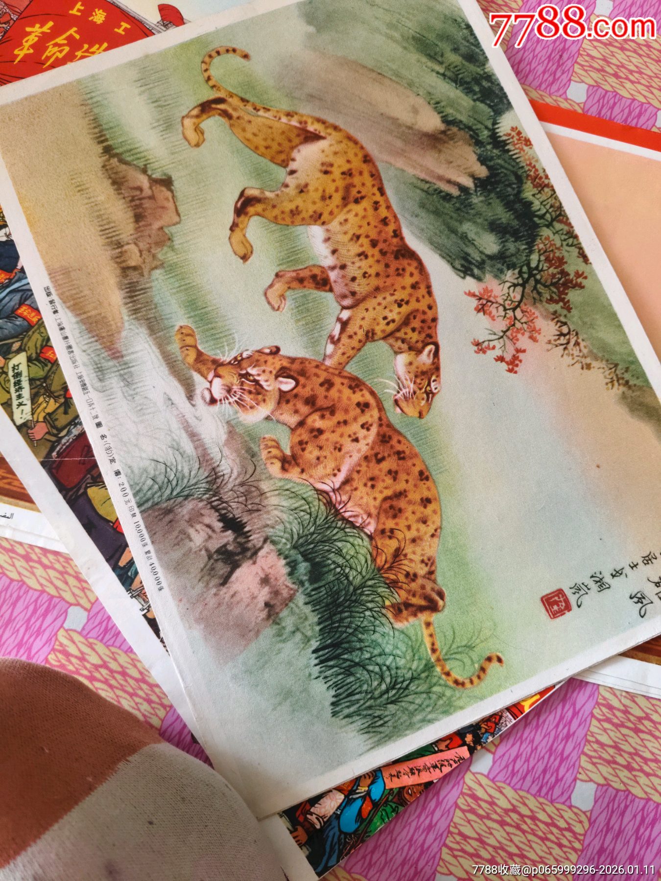 画片_小画片_西丰纸品店【7788收藏__收藏热线】