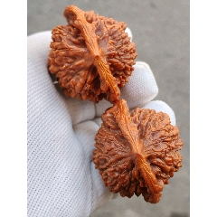 42大肚金蟾蛤蟆头核桃(27050)_文玩核桃_趣味小店杂货铺【7788挂历收藏】