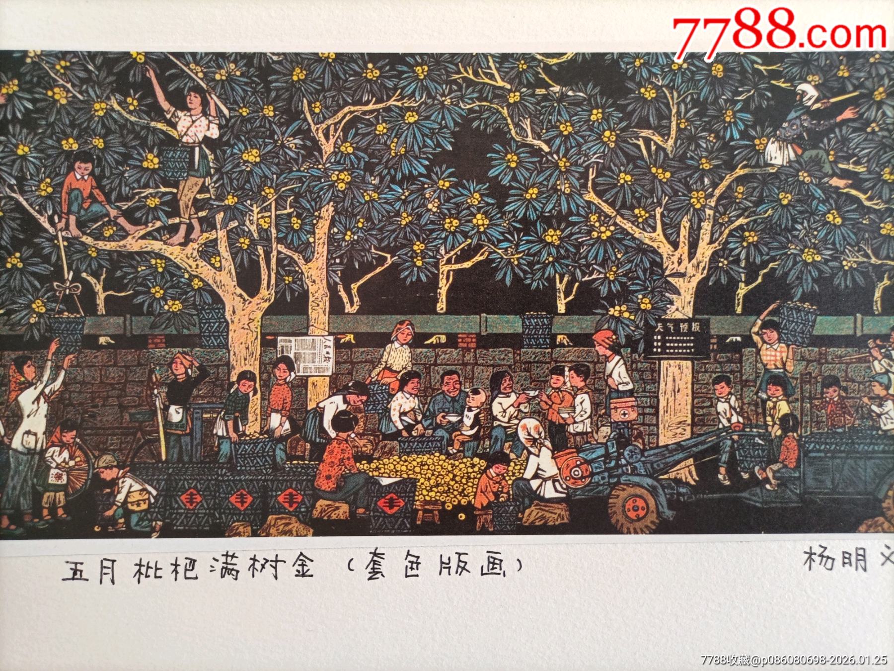 16开剪裁粘贴版套色版画片《五月枇杷满树金》(请仔细阅图,品严者慎拍)_字画年画_凝华斋【7788收藏__收藏热线】