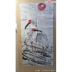 秋畝，民国时期老画，工笔花鸟《松鹰图》编号：824070203，纸本绫裱_