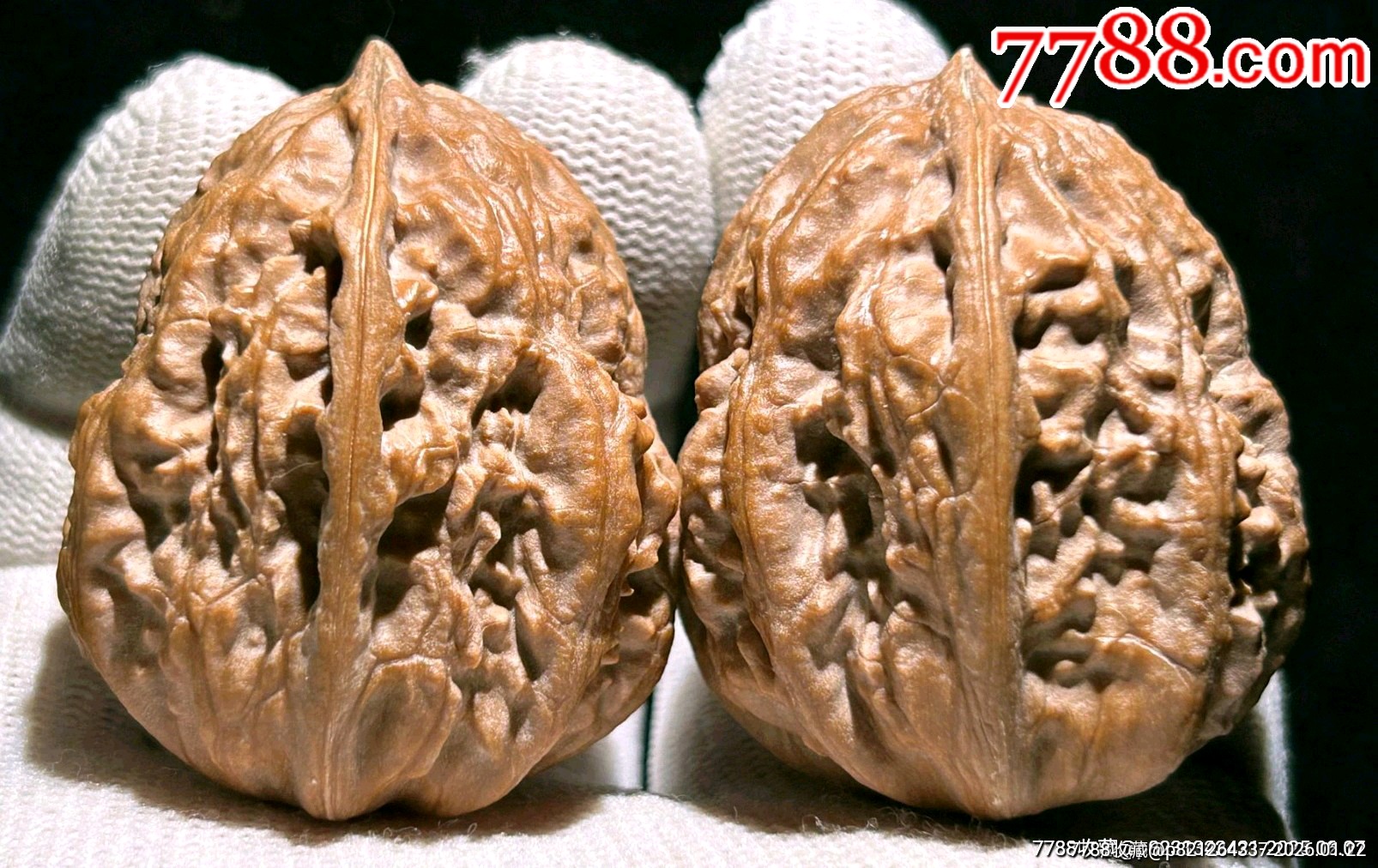 野生蛤蟆头秋子（边33.5/34.0肚38/37.5高46/46.5）天然野生-文玩核桃