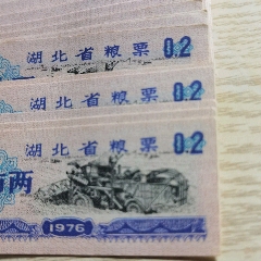 1976年北京市半市斤粮票——横四联——少见_粮票_众品票证【7788红宝书】