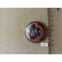 一片紅～漏紅～水泵廠(chǎng)接管一中紀(jì)念-￥150 元_像章徽章_7788網(wǎng)