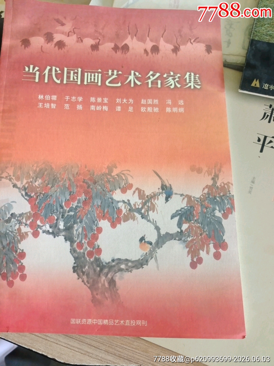 当代国画艺术名家集12位名家-油画画册-7788玲珑石