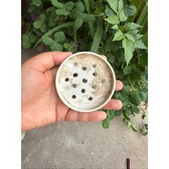和田玉大业笔洗_笔洗_乡下收好货【7788旧书网】