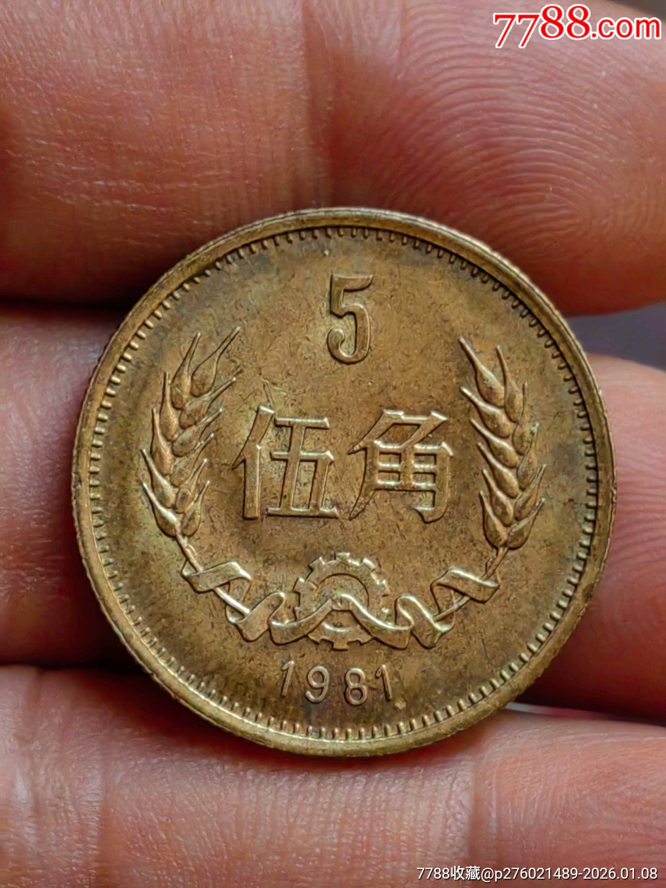 81年铜五角长城币，（原味好品低实价）1枚-硬币（人民币）-7788老唱片